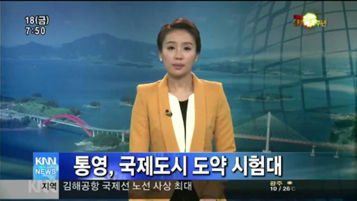 RCE��ȸ, �뿵 �������� ���� �����