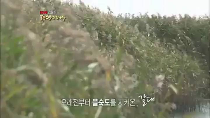 (05/25 방영) 제595회 아픔으로 맺힌 강, 내성천