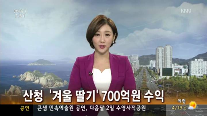 산청 '겨울 딸기' 팔아서 7백억 수익
