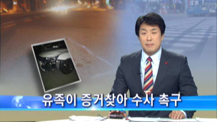 경찰, '뺑소니 사건' 부실 수사 의혹