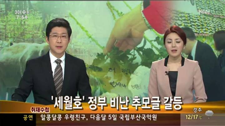 취재수첩-'세월호' 정부 비난 추모글 갈등
