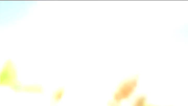 뉴스아이 날씨 7월25일(토)