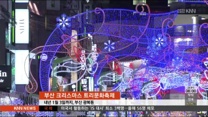 부산 크리스마스 트리문화축제 /부산 해운대 빛축제