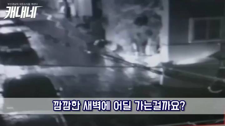[동영상] AS불만 휴대전화 매장 등 상가 유리 파손 50대 구속