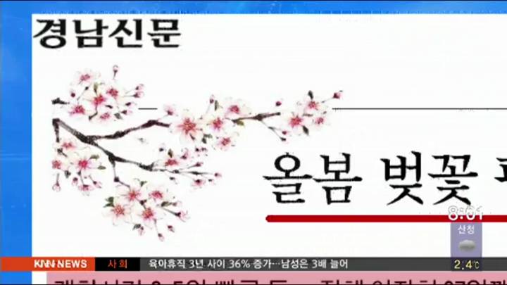 경남신문- 올봄 평년보다 벚꽃 일찍 만날 수 있다