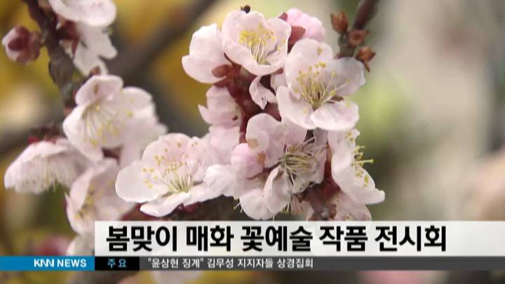 봄맞이 매화 꽃예술 작품 전시회
