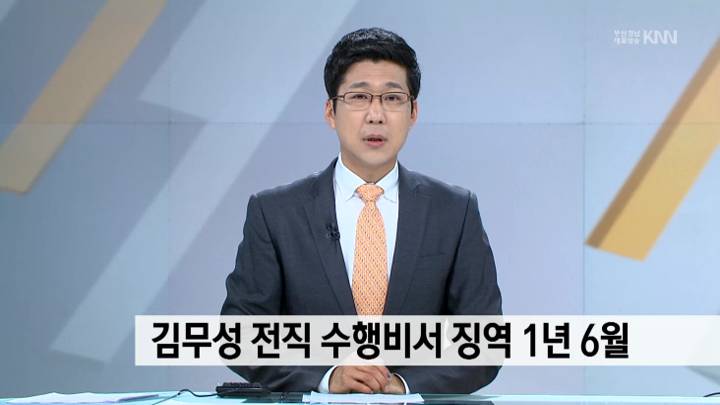 김무성 전직 수행비서 징역 1년 6월
