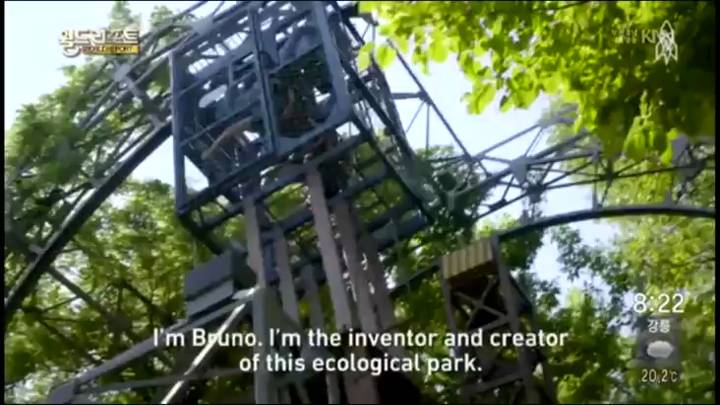 40년 동안 손수 만든 숲 속 놀이공원