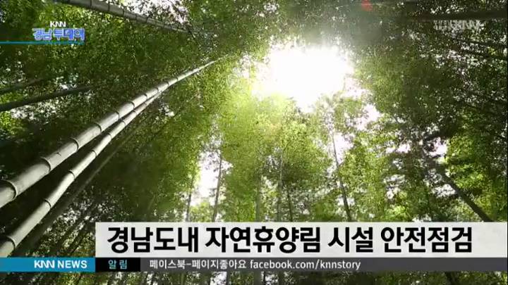 휴가철 맞아 경남지역 자연휴양림 12곳 안전점검