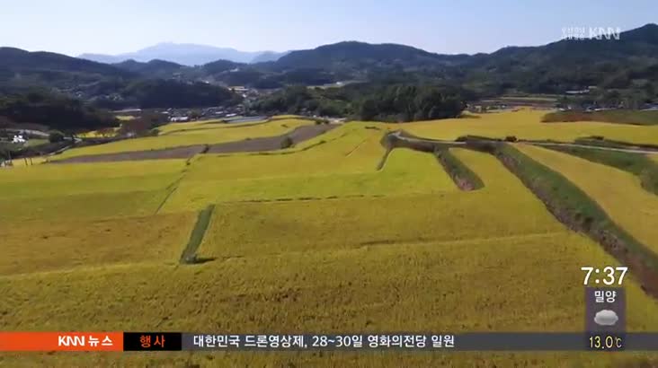 기획3.) "보관비만 한해 2천억" 쌀소비 촉진 시급