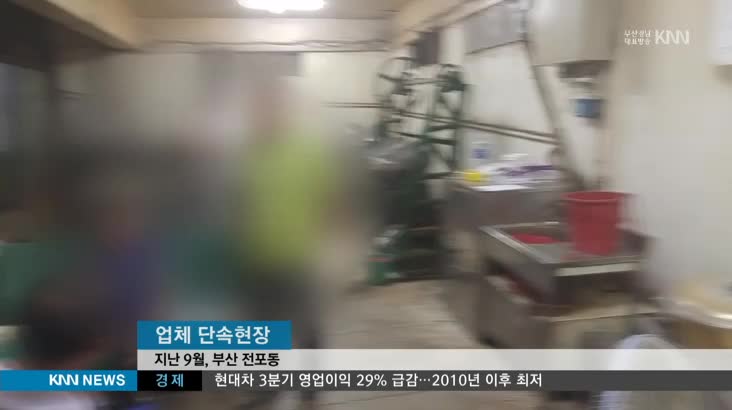 '동의보감' 보고 만든 가짜 공진단 판매 적발