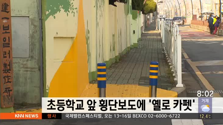 부산 146개 초등학교 앞 횡단보도에 '옐로 카펫' 설치