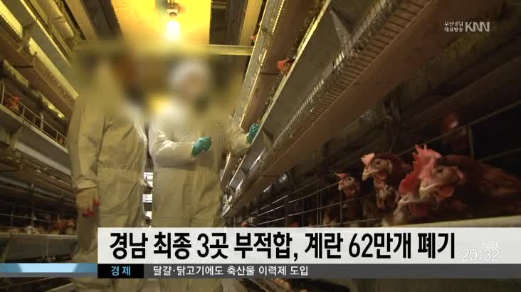 경남 최종 3곳 부적합, 계란 62만개 폐기