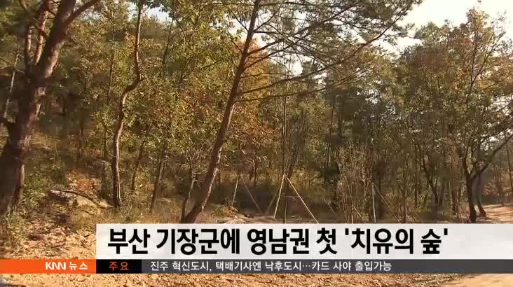 부산 기장군에 영남권 첫 ‘치유의 숲’  개장