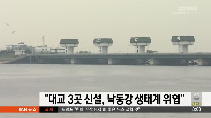 “대교 3곳 신설 낙동강 생태계 위협”