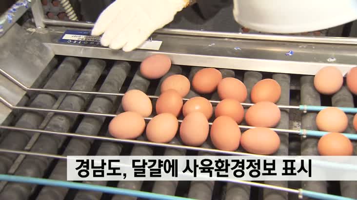 경남도, 달걀에 사육환경정보 표시