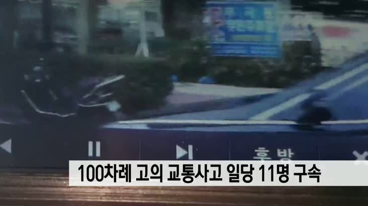 100차례 고의 교통사고 일당 11명 구속
