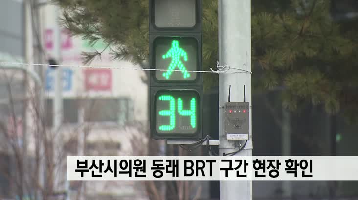 동래 BRT 연장 구간 시의원 현장확인