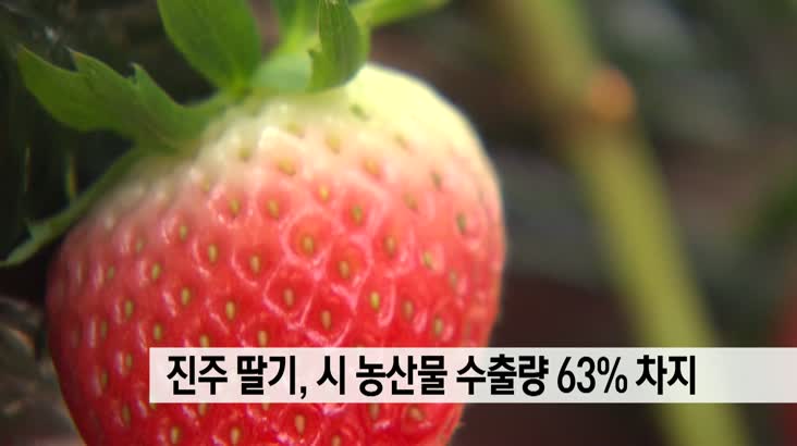 진주 딸기, 市농산물 수출량의 63% 차지