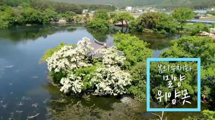 (05/28 방영) 봄의 수채화, 밀양 위양못