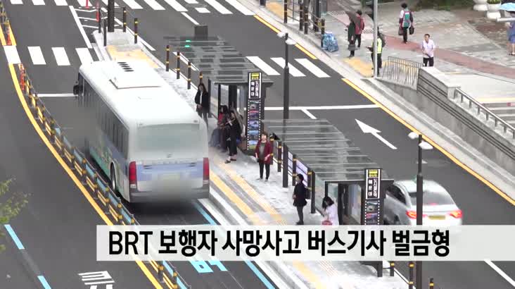 BRT 보행자 사망사고 버스기사 벌금형