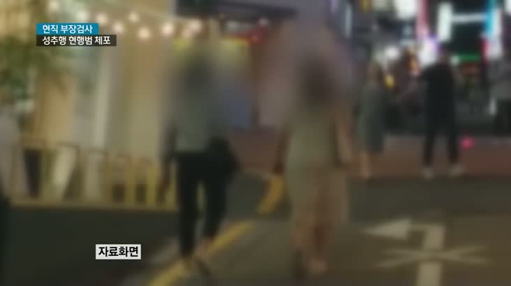 현직 부장검사 성추행 현행범 체포