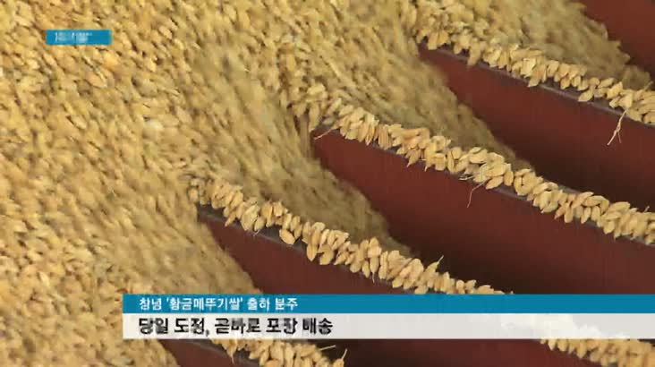 쿠팡 쌀판매 1위 ‘창녕쌀’, 이유는?