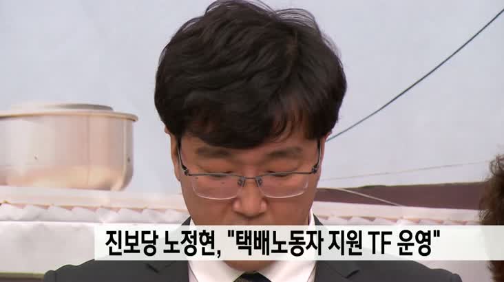 진보당 노정현, “택배노동자 지원 전담 TF 운영” 공약