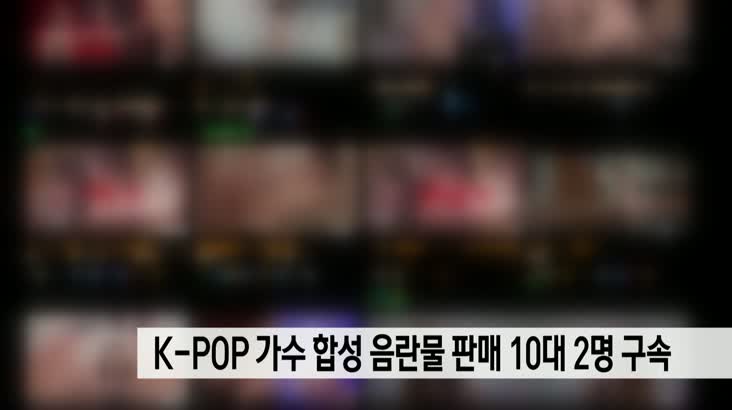 K-POP 가수  합성 음란물 합성 판매 10대 2명 구속