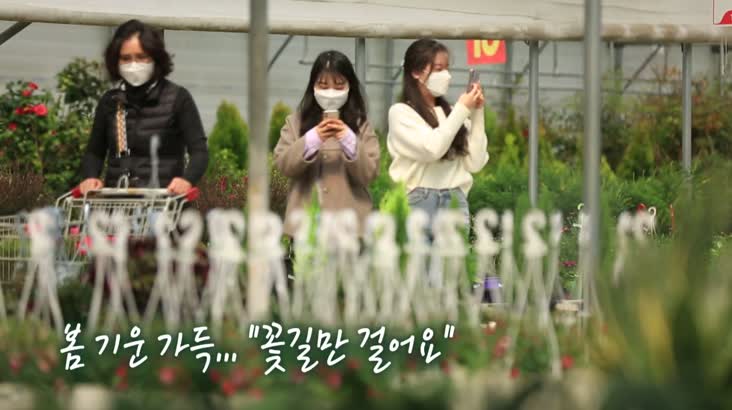 봄 기운 가득… “꽃길만 걸어요”(영상뉴스)