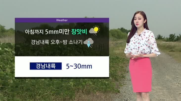 모닝 통통통 날씨 7월 19일-장마 끝 무더위 기승