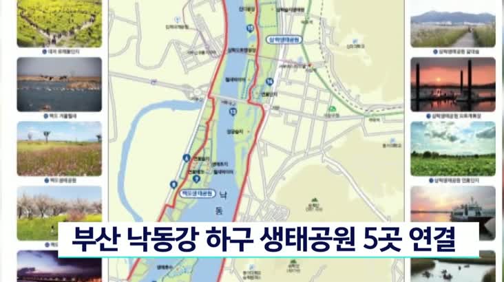 부산 낙동강 하구 생태공원 5곳 연결…도보로 9시30분