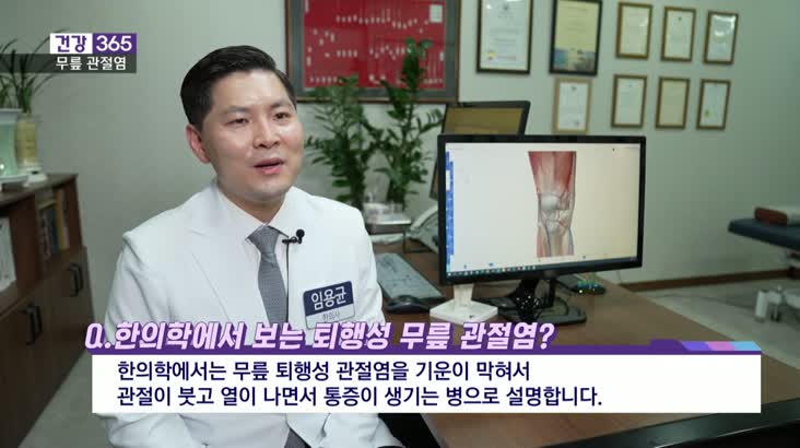 [건강365]-무릎 관절염, 자생력 키우는 한방 치료