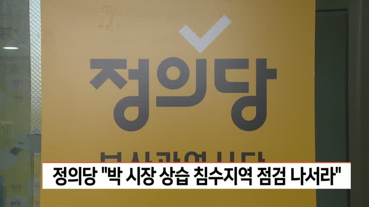 정의당, “박형준 시장 상습 침수지역 현장점검 나서라”