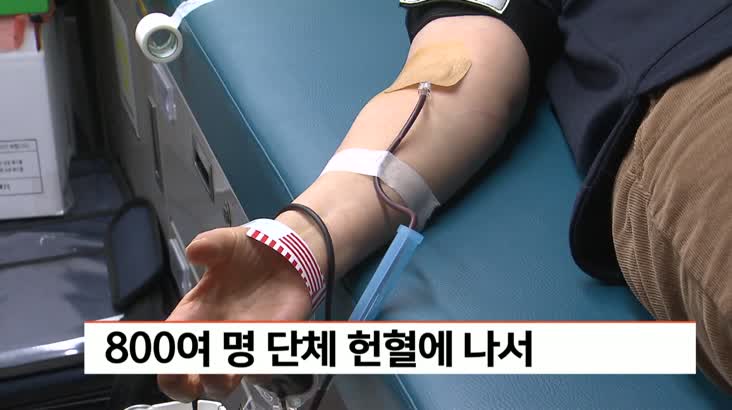 800명 헌혈 운동 동참