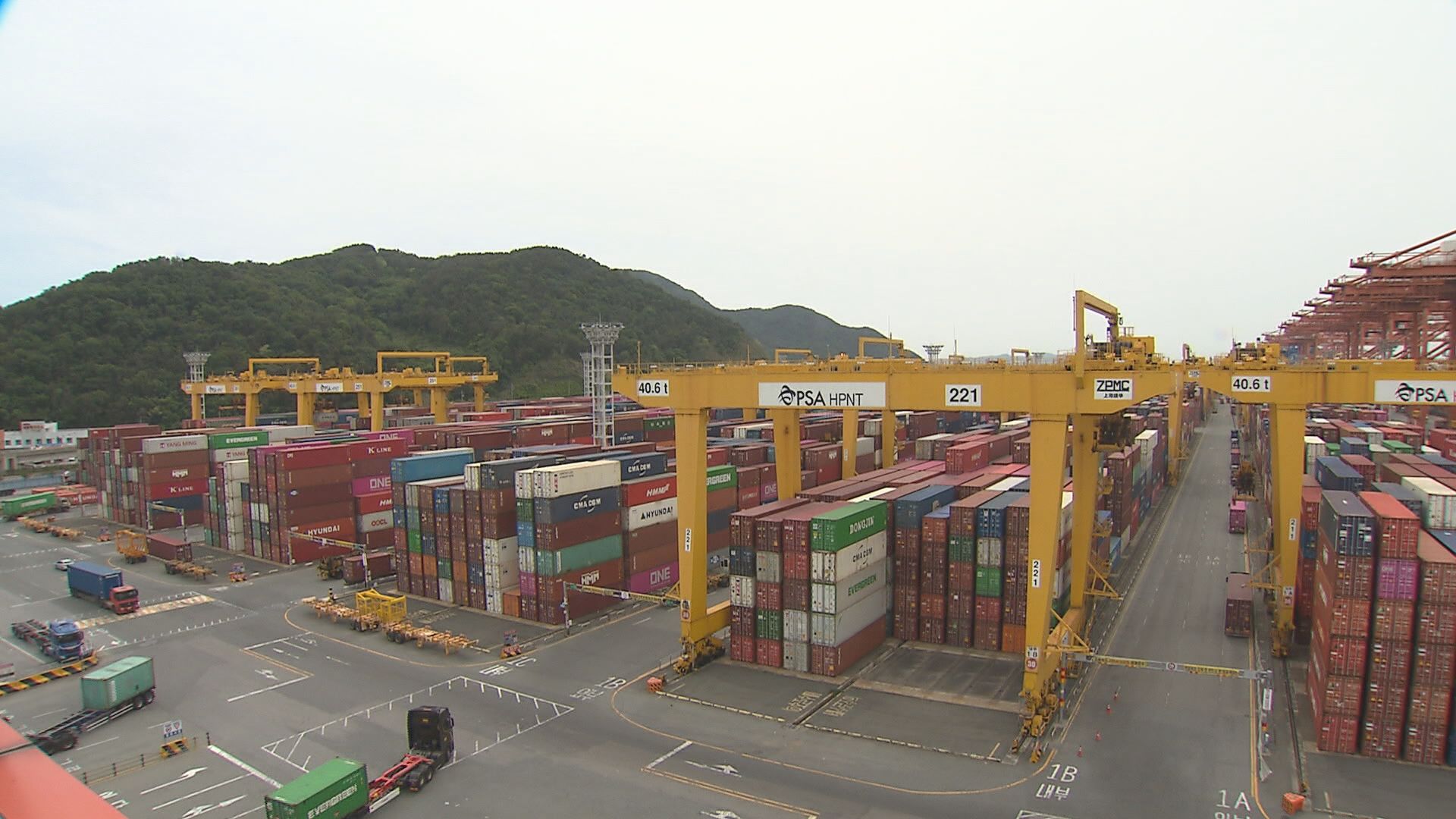 부산항 해상특송장 물동량 증가 부산항 해상특송장 물동량 증가