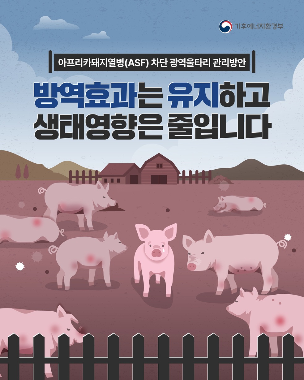 멧돼지 활동 반경 넓어지는 겨울... “아프리카돼지열병(ASF) 방지 중점관리대책 추진”