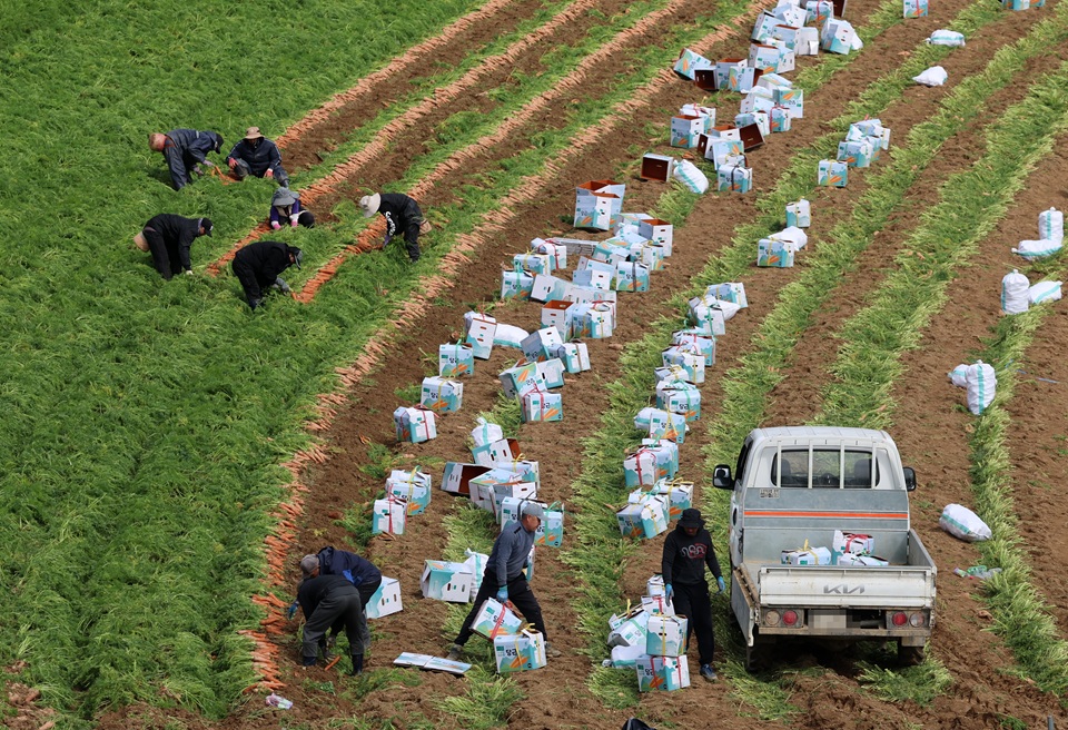외국인 취업자 100만 명…정부 ‘통합지원 TF’ 가동