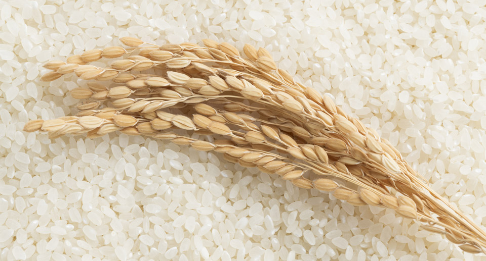 정부, 쌀값 안정 위해 15만t 공급…정부양곡 ‘대여’ 방식 단계 투입