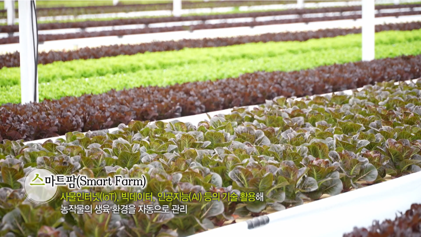 [테마스페셜] 청년농부들, 스마트팜으로 미래를 심다